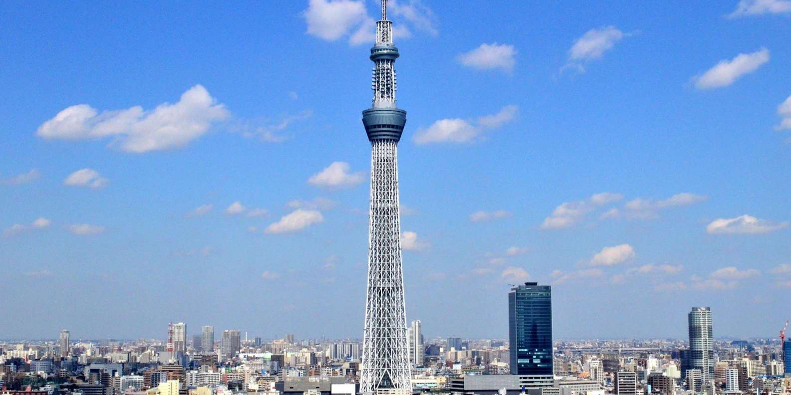 Tokyo: Full-Day Sightseeing Bus Tour | GetYourGuide