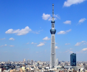 Tokyo: Full-Day Sightseeing Bus Tour