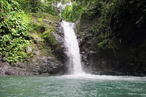 Uvita Waterfall & Surfing Discover Costa Rica - Private Tour