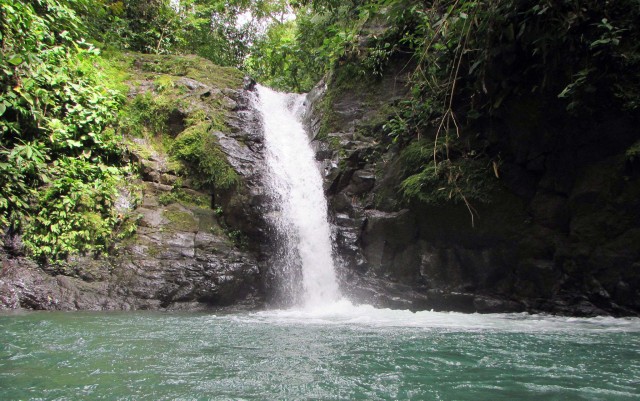 Visit Uvita Waterfall & Surf Experience Discover Uvita Costa Rica in Dominical