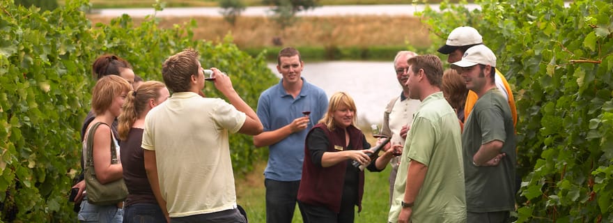 Depuis Saint-Sébastien/Bilbao/Vitoria : Visite de la Rioja avec déjeuner