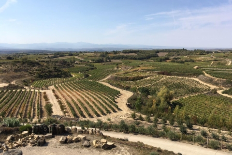 La Rioja: visite d'une cave avec dégustations et déjeuner traditionnelLa Rioja: visite des vignobles avec dégustation et déjeuner en anglais