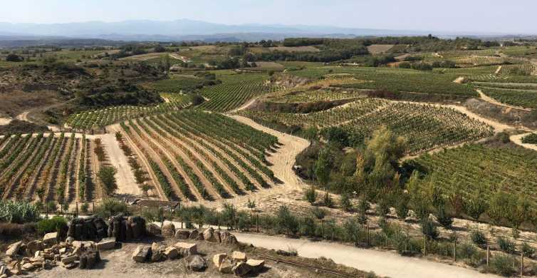 La Rioja: Winery Tour with Tastings and Traditional Lunch