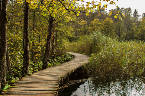 Au départ de Split : Excursion d'une journée entière dans le parc national des lacs de PlitviceExcursion privée d'une journée complète dans le parc national des lacs de Plitvice