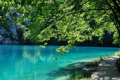 Da Spalato: Tour privato al Parco Nazionale dei Laghi di Plitvice