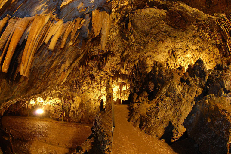 Kefalonia Half-Day Boat Tour