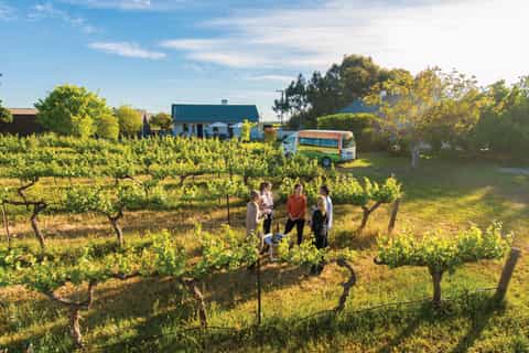 Adelaide: Barossa Valley Tour With Platter-Style Lunch