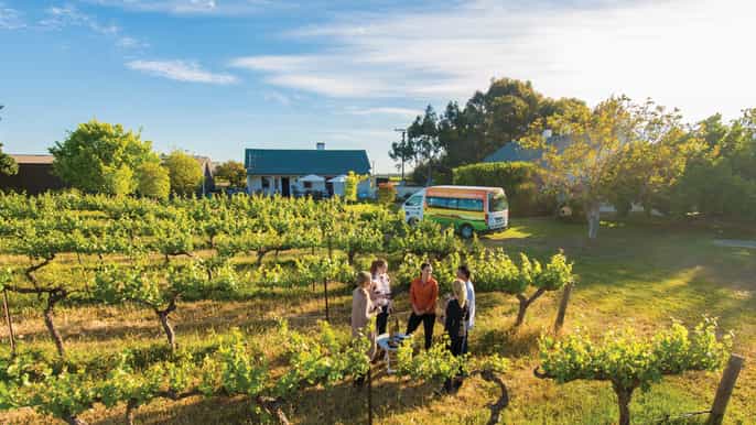 adelaide barossa valley tour with platterstyle lunch