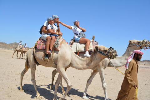 Passeio de camelo com pôr do sol e observação de estrelasServiço de busca no hotel em Hurghada