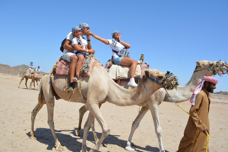 camel ride with sunset and star watchingpickup from hotels inside hurghada