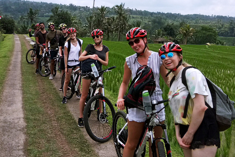 Tour de 2 h en bici eléctrica a Jatiluwih, lugar UNESCOTour sin traslados al hotel