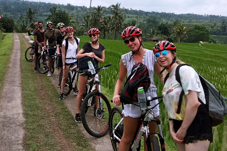 Jatiluwih (Patrimônio da UNESCO): Excursão de E-Bike 2 HorasExcursão com Traslado de Ida e Volta de seu Hotel