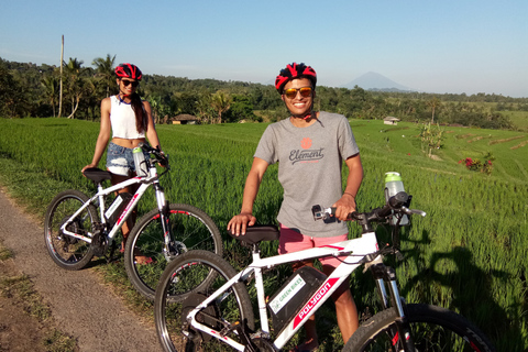 Tour de 2 h en bici eléctrica a Jatiluwih, lugar UNESCOTour sin traslados al hotel