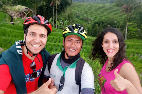 Tour de 2 h en bici eléctrica a Jatiluwih, lugar UNESCOTour sin traslados al hotel