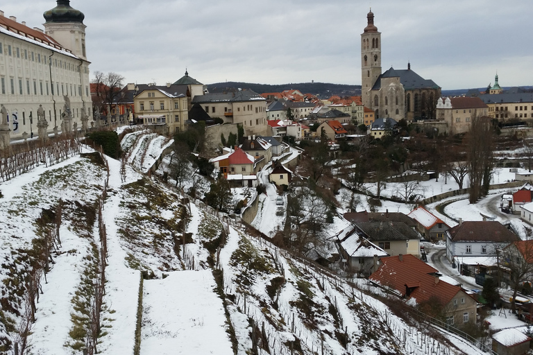 From Prague: Half-Day Coach Tour to Kutná Hora