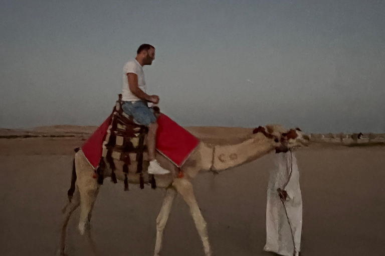Hurghada: Camel Ride & horse ride and Off-Road Jeep Tour pickup from hotels inside hurghada