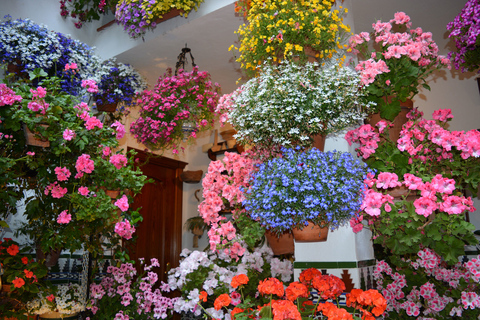 Cordoba: Patios & Flowers Private Walking Tour