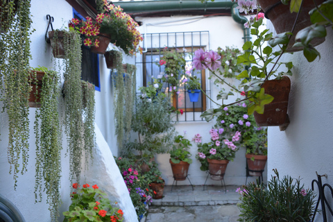 Cordoba: Patios & Flowers Private Walking Tour