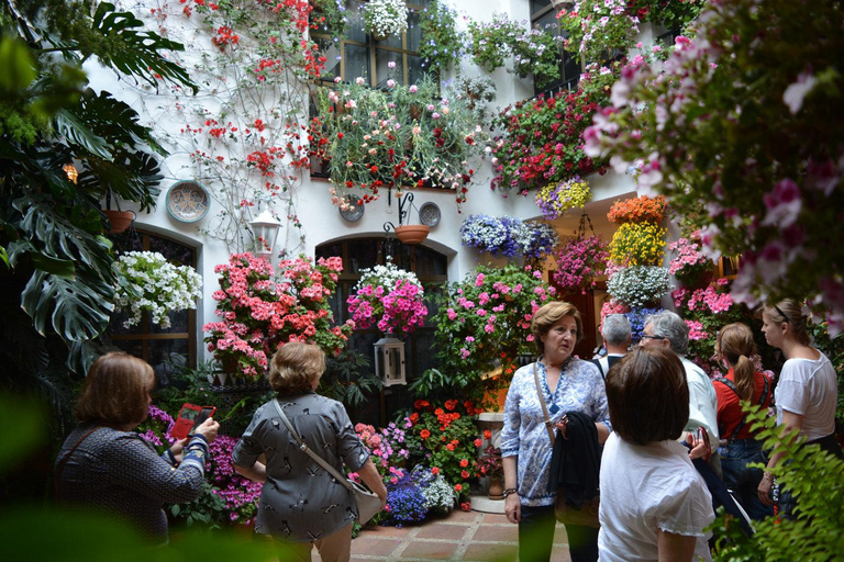 Cordoba: Patios & Flowers Private Walking Tour