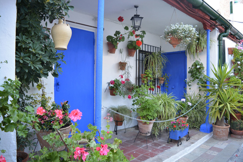 Cordoba: Patios & Flowers Private Walking Tour