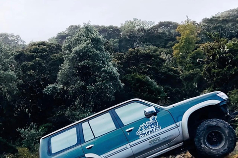 Boquete: Volcan Baru 4x4 Ascent with Breakfast & Pickup