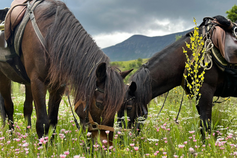 2-Day Gjirokastra & Durres: Horse Riding & Culture Tour Trip
