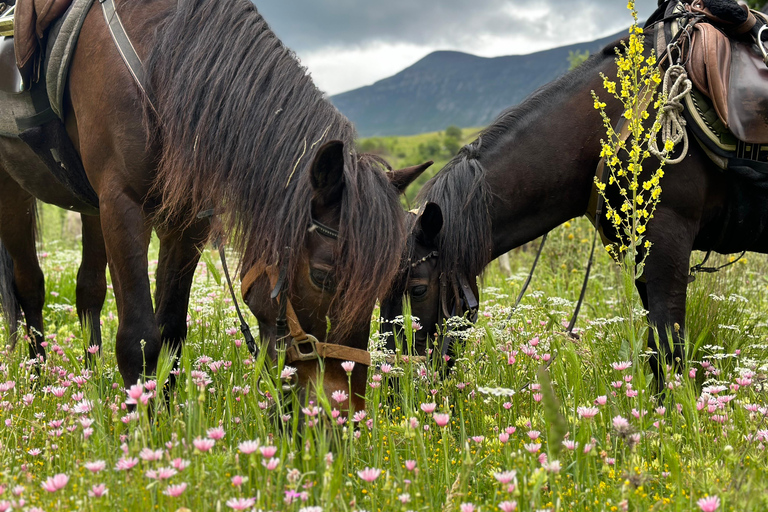 2-Day Gjirokastra & Durres: Horse Riding & Culture Tour Trip