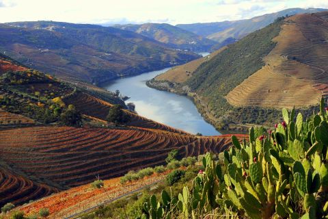 Douro Valley Private Full–Day Tour from Porto