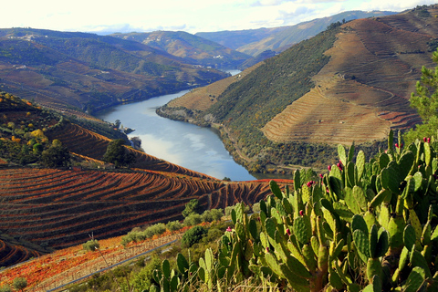 Douro-vallei privé-dagtour vanuit Porto