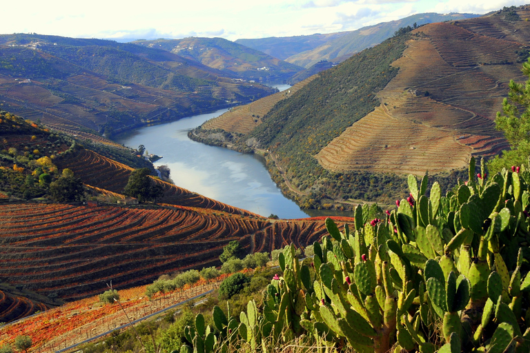 Da Porto: Tour di un giorno nella Valle del Douro