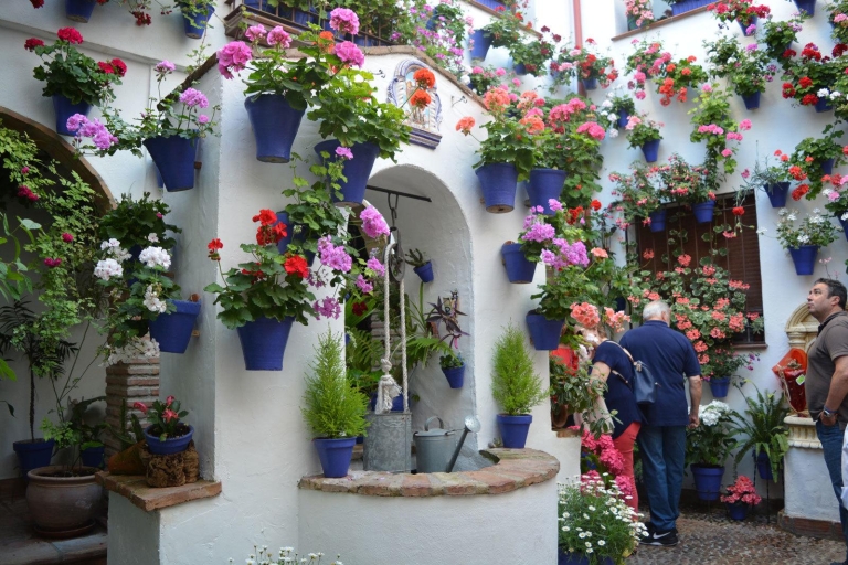 Sights, Sounds, and Scents of Córdoba's Patios Standard Tour