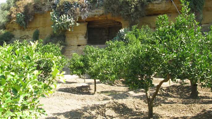 valle dei templi e giardino della kolymbethra tour privato