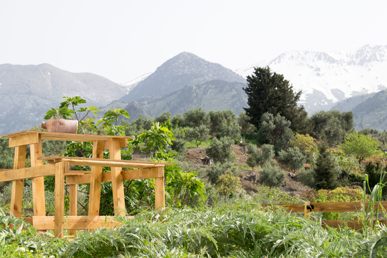 Chania: Authentic Cooking Class in the White Mountains Crete: Authentic Cooking Class in the White Mountains