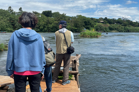 Mabamba Swamp shoebill and birding tour (Female led) Mabamba Swamp shoebill and birding tour(Female led)