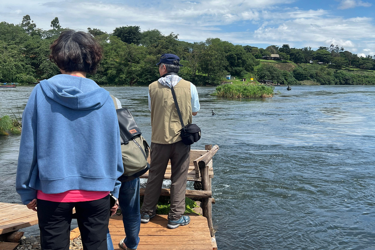 Mabamba Swamp shoebill and birding tour (Female led) Mabamba Swamp shoebill and birding tour(Female led)