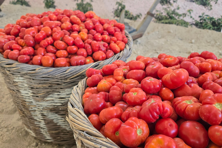 Visit Santorini’s old Tomato Factory