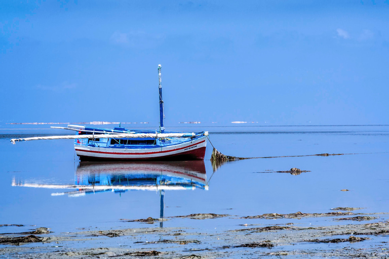 Djerba: Djerba Hood, Star Wars Ajim, Sunset at Sidi Jmour & Dinner