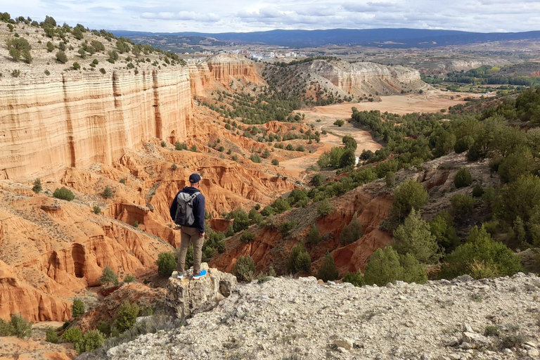 From Valencia: Hiking Tour of The Red Canyon of Teruel