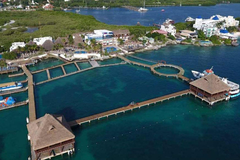 From Cancun: Isla Mujeres Ferry Trip with Buffet Lunch
