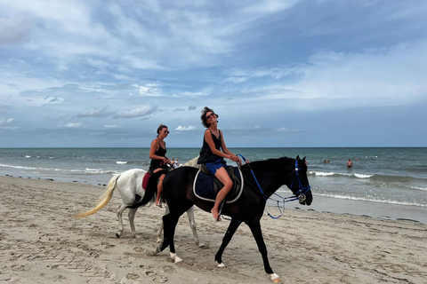 Djerba: Lezione di equitazione per principianti per adulti e bambini.