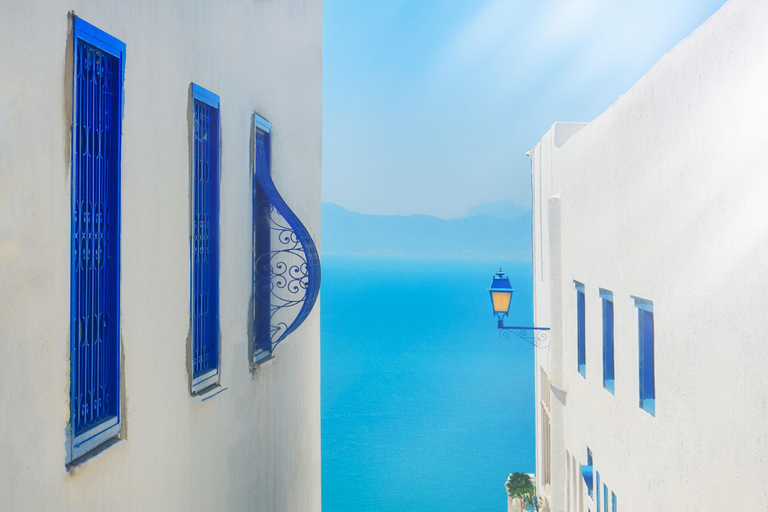 From Sousse & Monastir: Carthage, Sidi Bou Said & Tunis Tour