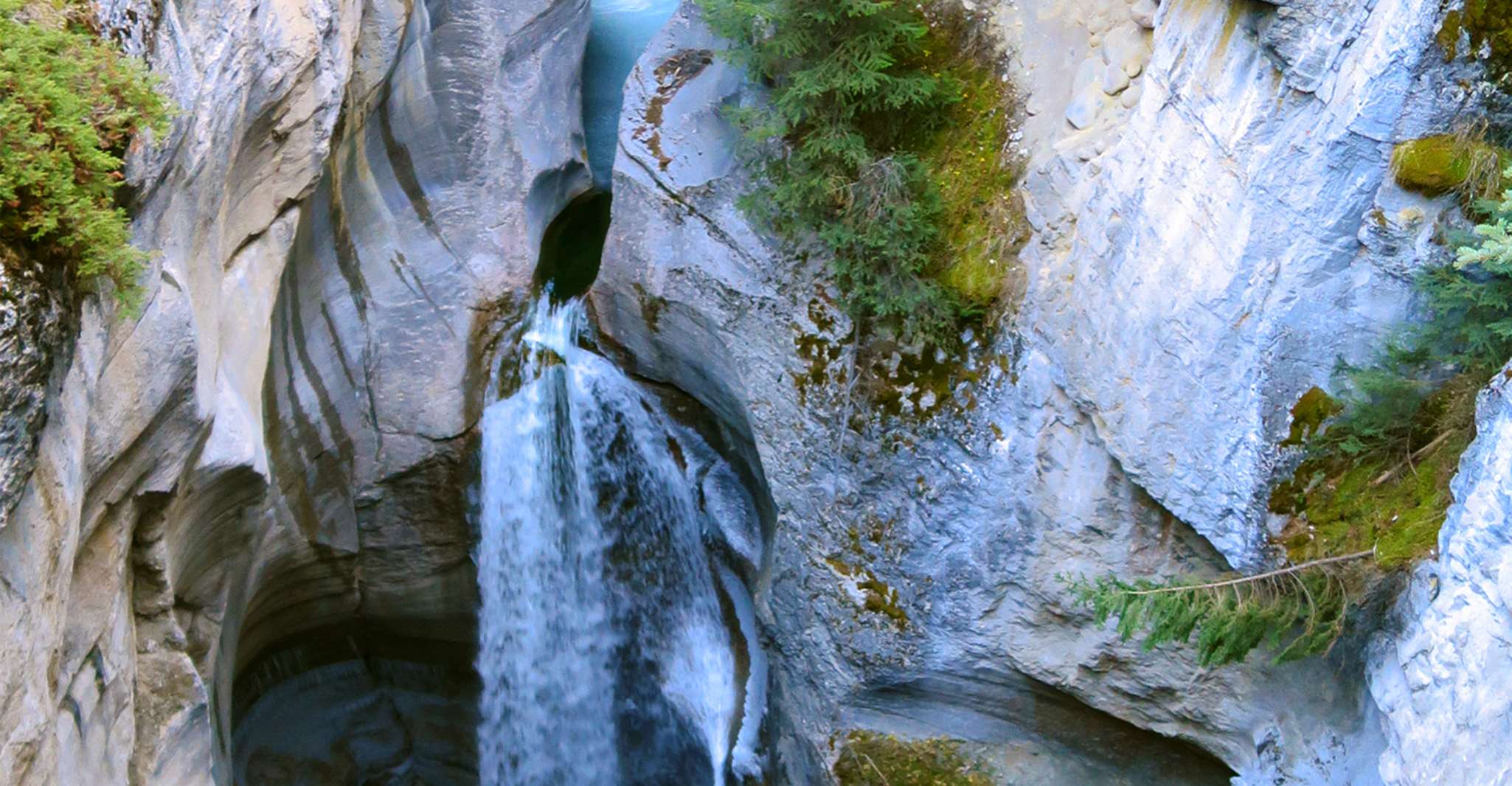 Tour de Jasper, Vida Silvestre y Cascadas con Lakeshore Hike - Hizvo