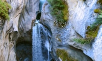 Jasper, la faune et les chutes d'eau visitent avec Lakeshore Hike - Hizvo
