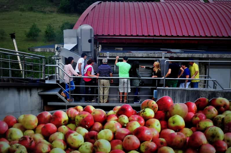 cider house tour san sebastian