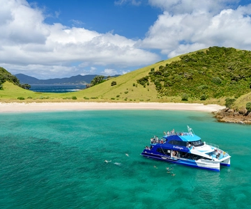 From Paihia: Cream Trip Full-Day Cruise to Bay of Islands