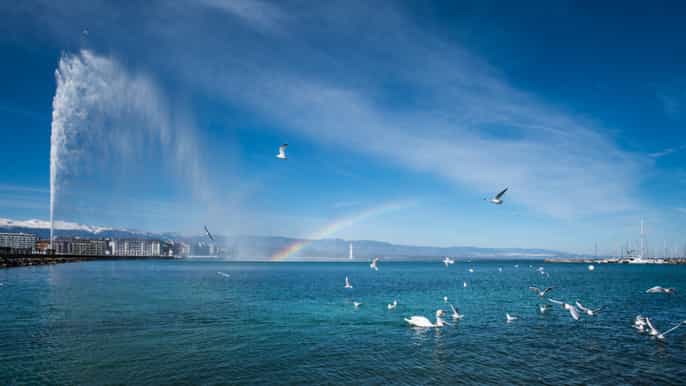 geneva city tour and boat cruise