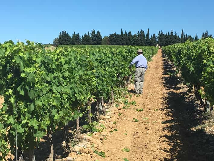 montpellier vineyard tour