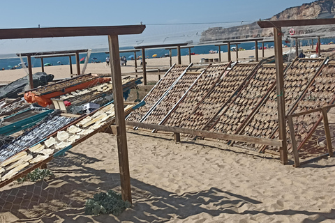 جولة فاطمة الخاصة: فاطمة- الناصرة- أوبيدوس