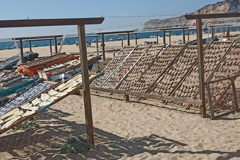 جولة فاطمة الخاصة: فاطمة- الناصرة- أوبيدوس