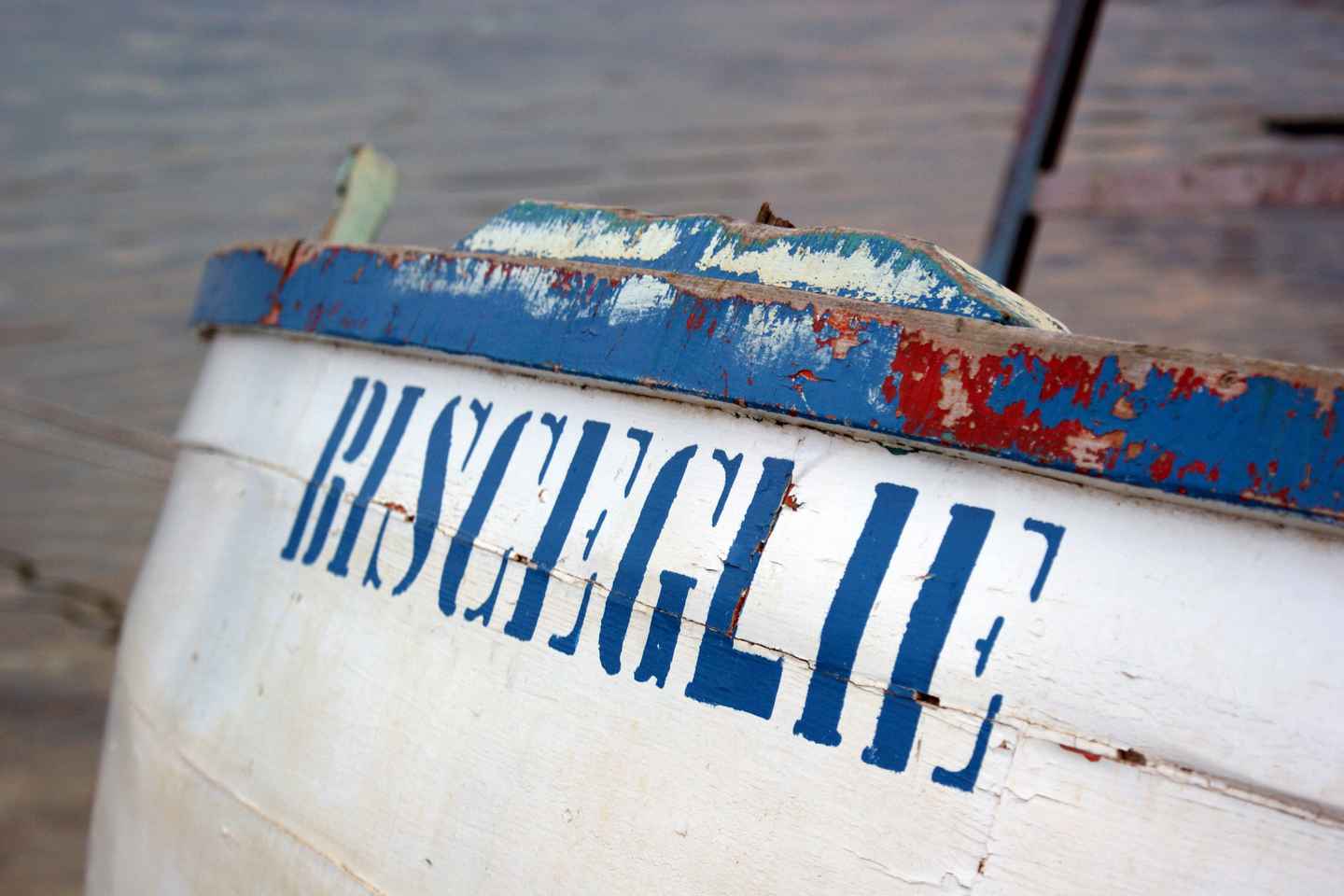 Tour privato di BISCEGLIE: una bella città sul mare Adriatico